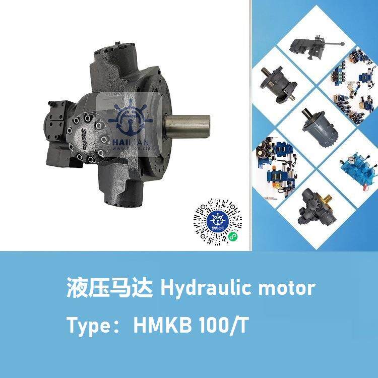 船舶甲板液压机械舱盖油马达HMKB100/T