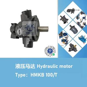 船舶甲板液压机械舱盖油马达HMKB100/T