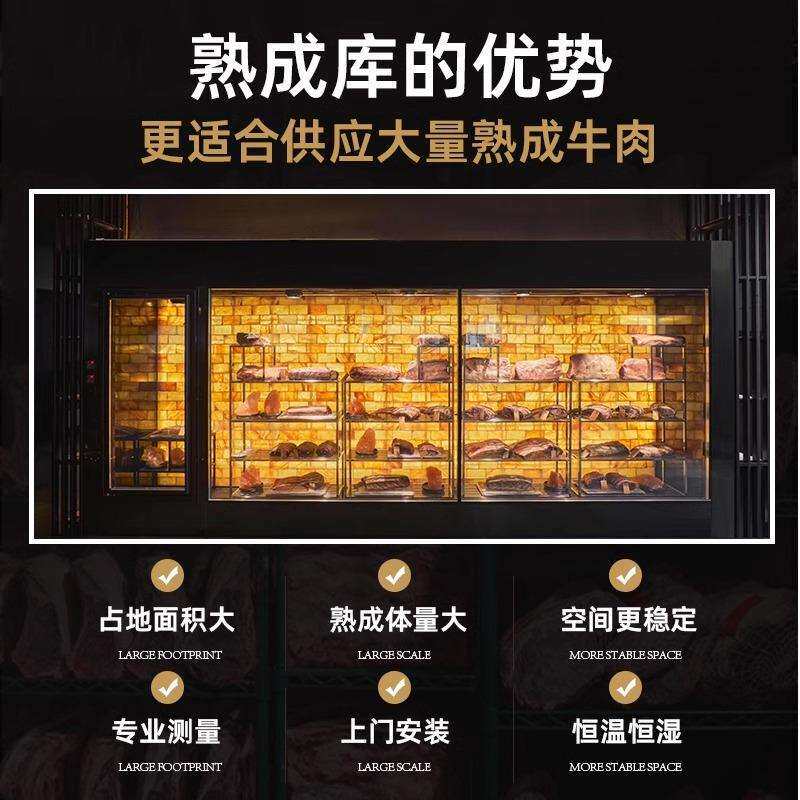 熟成排酸库风冷房牛肉柜解冻库商用批量牛羊肉智能干式牛排冷冻库