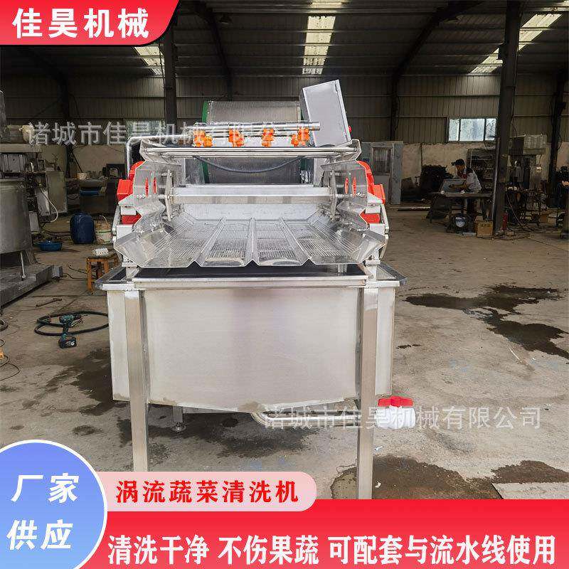 气泡清洗机豆芽菜酸菜涡流洗菜机多功能臭氧涡流清洗机商用