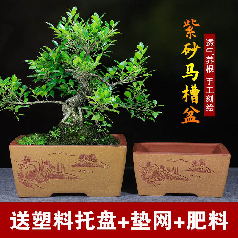 长方形紫砂花盆榕树梅花老桩盆景盆室内花卉植物盆栽陶瓷大号花盆