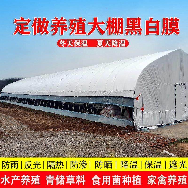 黑白膜养殖大棚膜进口无滴膜农用塑料薄膜保温隔热遮阳防晒反光膜
