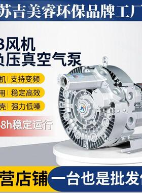 3RB气环式真空泵 RB-35DH-2强力吸吹漩涡风机 4KW高压旋涡气泵