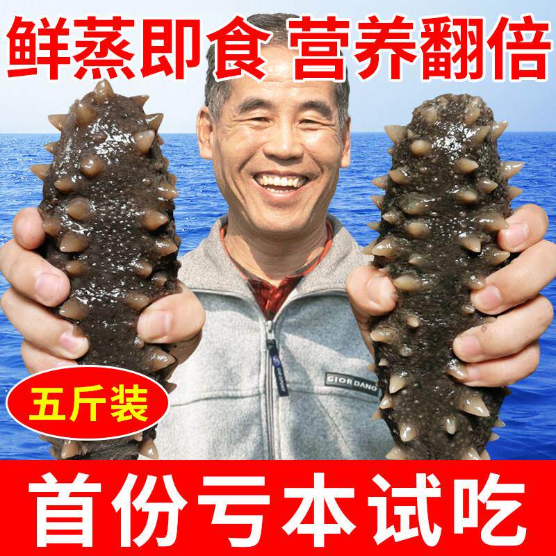 大连九年即食海参2500g深海辽刺参深海非干参鲜活冷冻单个装