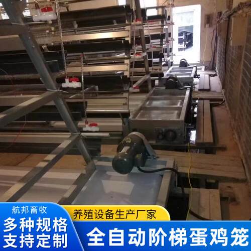阶梯式加背负式喂料机捡蛋机热镀锌全自动阶梯蛋鸡笼养鸡养殖设备