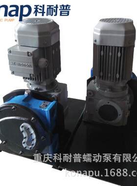 重ONAP科耐FNV普KNKP1量0立庆式软管泵小流微型软管泵厂家