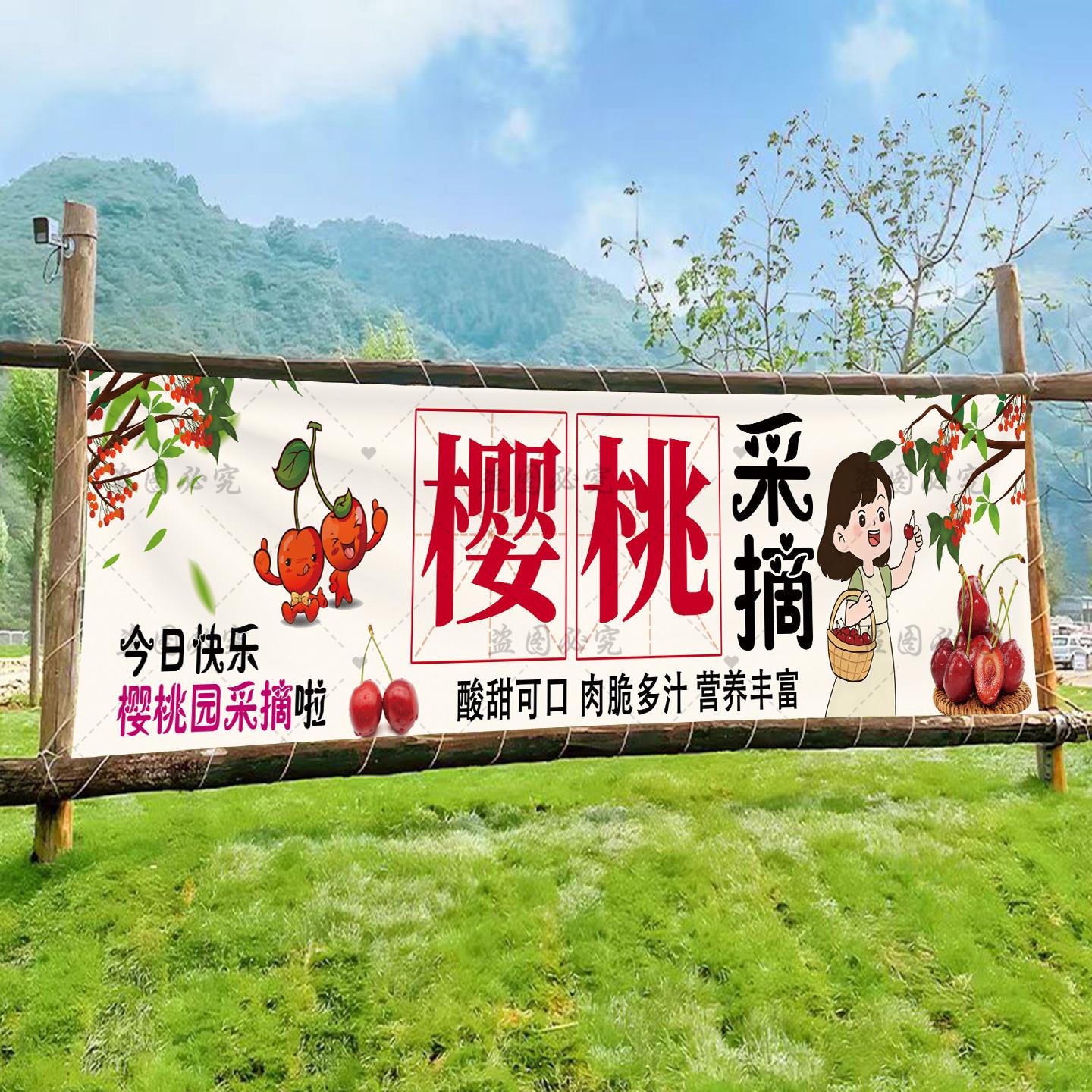 定制樱桃采摘园条幅室内外采摘园挂毯直供零售背景横条幅挂布