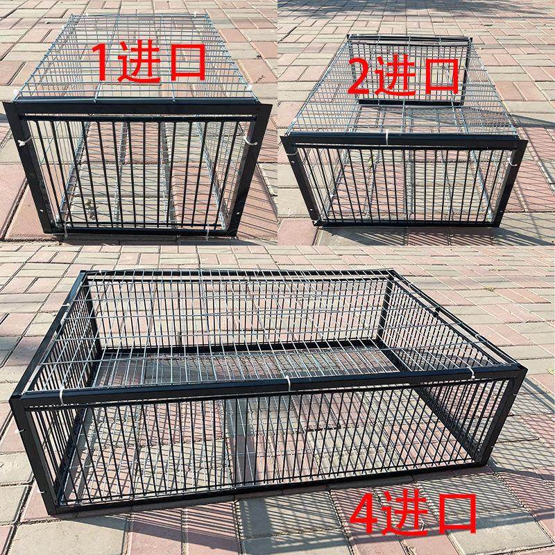 天落笼只进不出鸽子笼加密活络门鸽笼自动门撞门户外房顶鸽子笼子,宠物/宠物食品及用品,鸟窝,淘宝优惠券,粉丝福利购,淘宝优惠卷