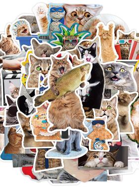 65pcs Funny Cute Cat Meme Stickers Kid Toy Scrapbook Noteboo