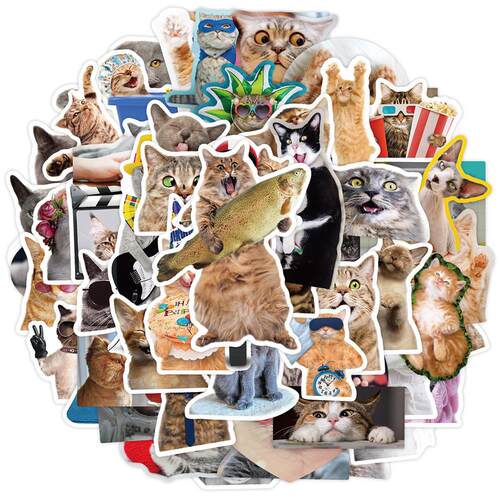 65pcs Funny Cute Cat Meme Stickers Kid Toy Scrapbook Noteboo