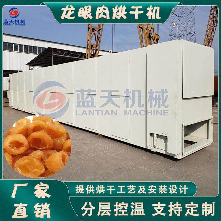 龙眼肉烘干流水线大型荔枝龙眼干烘干机全自动龙眼去核烘干设备