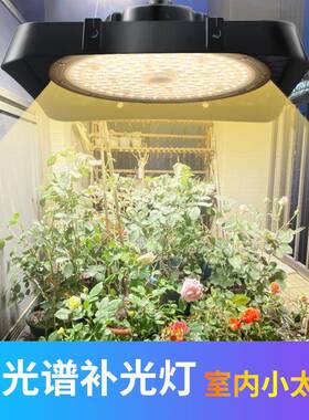 仿太阳光植灯物灯大功率光谱植物生长阳AVQ台全多肉光补灯绿植专