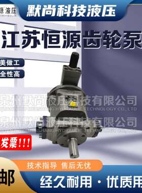 江苏恒源柱塞泵HY80Y-RP 25Y 40Y 10Y 63Y-LP 160Y 250Y-RP液压泵