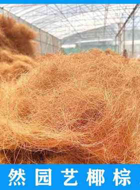 椰棕丝椰丝铺面椰壳丝300克花盆盖面草盆栽铺面装饰石子天然透气