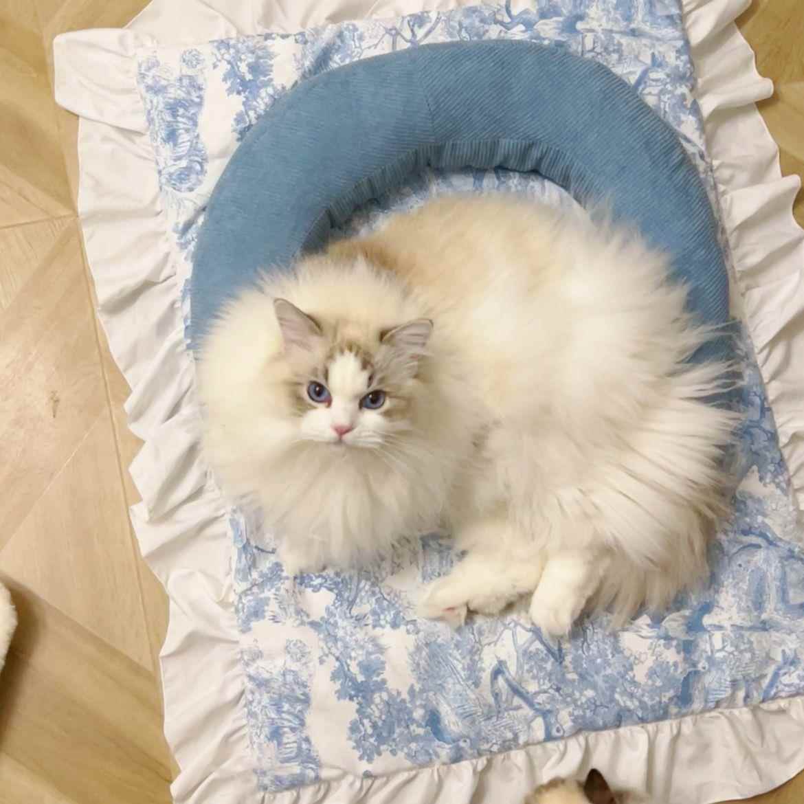 宠物冬季猫抱枕狗抱枕狗法式美拉德猫体工程学窝狗垫子抱抱大c垫