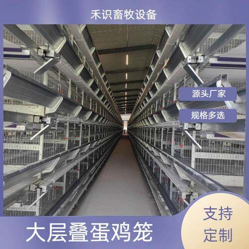 全自动肉鸡笼蛋鸡笼层叠式养鸡设备加密加粗自动化养殖设备