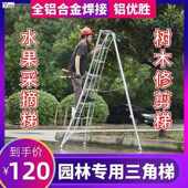 果园采摘修剪梯铝合金三脚梯子园艺人字梯园林专用三角梯绿化剪枝