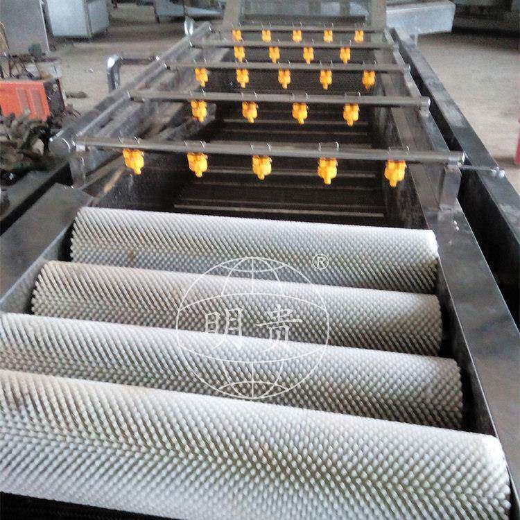 鼓泡式辣椒清洗机商用果蔬气泡大型洗菜机型号全自动清洗水果