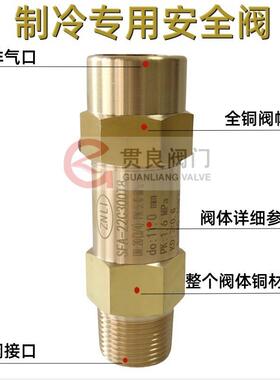冷安全阀SFA-22C300TSCDA-22C300TSFA-22C3CSA凝-22300T中央空器