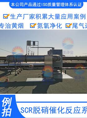 热解尾气处置设备热解炉SCR中温脱硝催化剂火化炉尾气净化设备