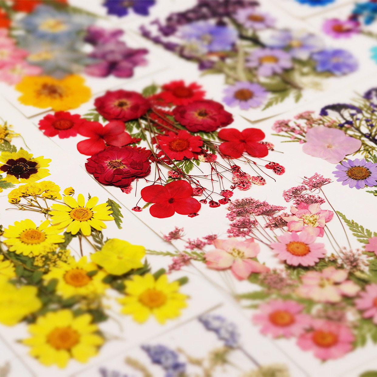 diy干花材料永生花押书签干花