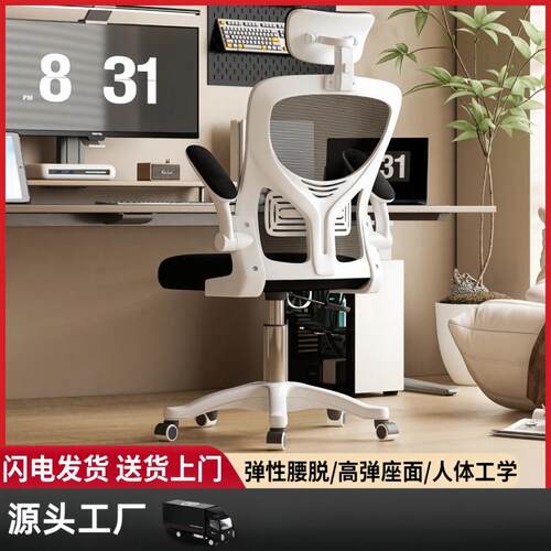 电脑椅家用办公椅职员宿舍电竞座椅人体工学学习椅书桌无拼豆收纳