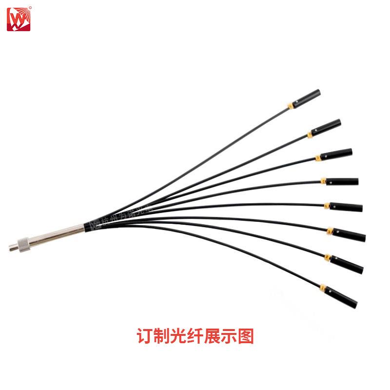 厂家直销紫外见红外石BSD英光分纤叉变芯径图光纤可光谱仪光纤来