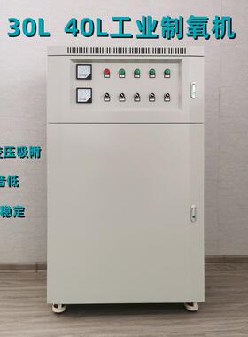 30L40L水产养殖制氧机氧气发生器室内增氧高原补氧焊接助燃纯氧机