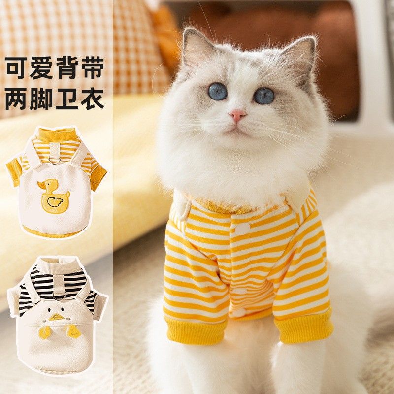 秋季薄款狗狗卫衣可爱背带两脚衣蓝猫幼猫无毛猫春秋季宠物衣服