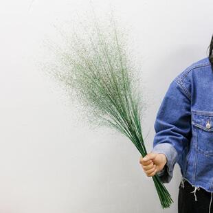 天然粉黛干燥花乱子草永生花家居复古插花配草软装艺术布置拍摄花