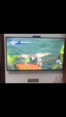 高人气款：三星UA55RUF58TJXXZ与东芝55U5850C哪款好点？都有声控功能吗