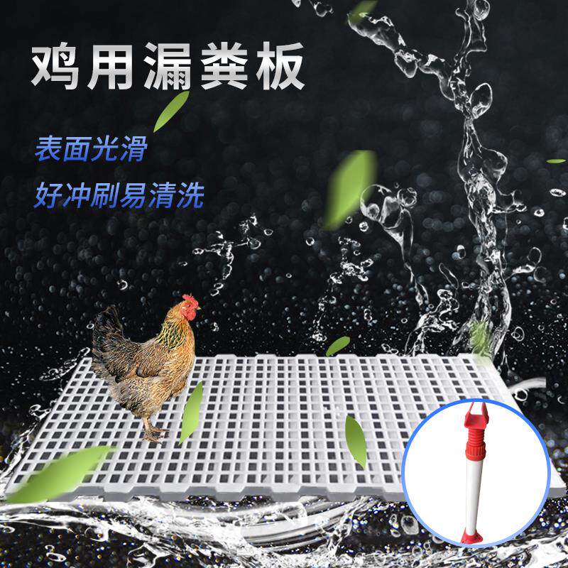 漏粪板鸡用鸡笼鸡粪鸽舍塑料漏粪板养小鸡鸭鹅漏粪网养殖专用设备