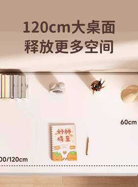 办公桌桌写家985用台式可调节电脑桌学生学习写字升降桌椅作业桌