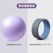 正品 大龙球运动用减肥孕妇助产专儿童感统 健身球加厚伽防瑜爆正品