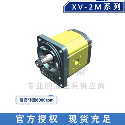 VIVOLO维沃尔X2M5701EQPE进口齿轮马达液压马达