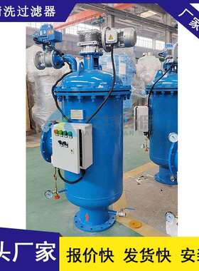 厂家批量现货 DN125自清洗过滤器 工业水处理 工作压力1.6Mpa