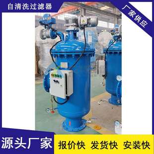 工作压力1.6Mpa 工业水处理 厂家批量现货 DN125自清洗过滤器