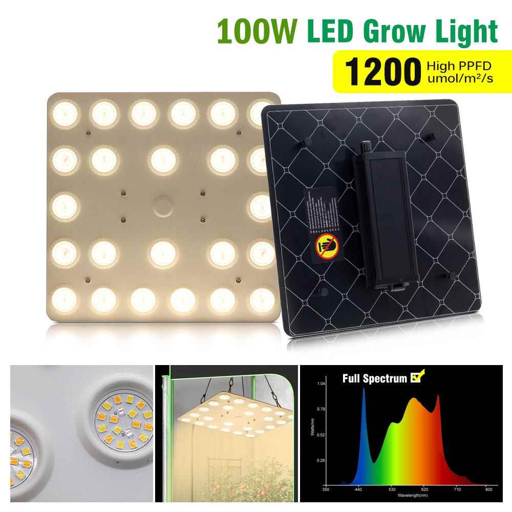 跨境LED植物灯聚能环量子板反光杯补光灯室内绿植花卉补光生长灯