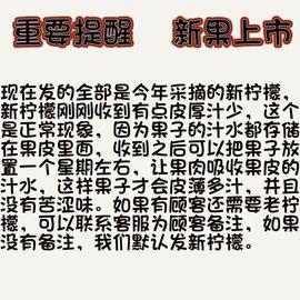 四川安岳黄柠檬一级果5斤新鲜当季水果皮薄多汁鲜柠檬青中果