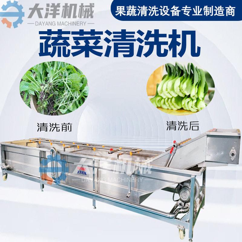 大洋机械果蔬气泡清洗机304不锈钢材质净菜加工设备树莓清洗设备图片