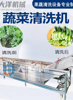 大洋机械果蔬气泡清洗机 304不锈钢材质净菜加工设备树莓清洗设备