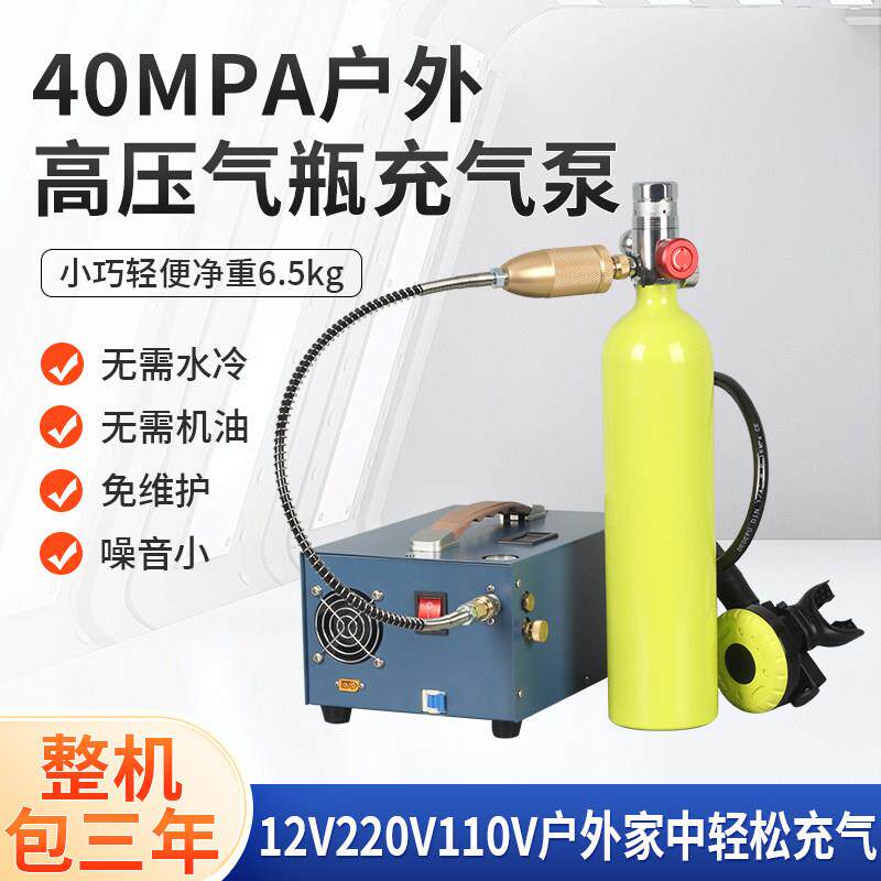 猎豹12V车载高压打气泵40mpa电动打气筒高压打气机打气泵30mpa