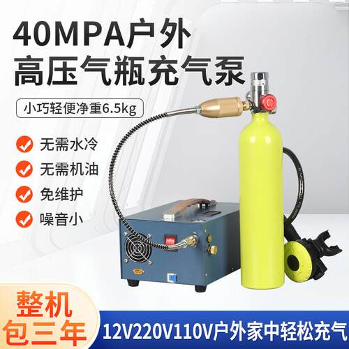 猎豹12V车载高压打气泵40mpa电动打气筒高压打气机打气泵30mpa
