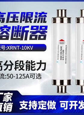 高压熔断器高分断能力限流XRNT10-12KV50A63A80A100A变压器跌落式