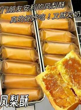 铁盒凤梨酥福建传统糕点怀旧复古点心伴手礼传统饭盒休闲零食特产