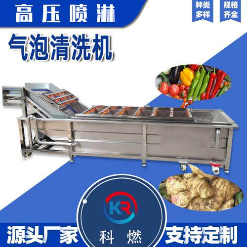 全自动苹果气泡清洗机食堂蔬菜清洗成套设备果蔬洗菜机