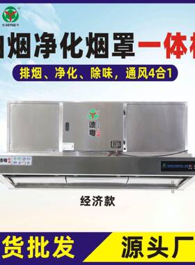 商用油烟净化一体机油烟净化器烟罩一体机抽油烟净化商用