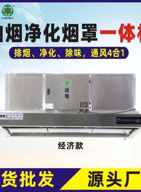 商用油烟净化一体机油烟净化器烟罩一体机抽油烟净化商用