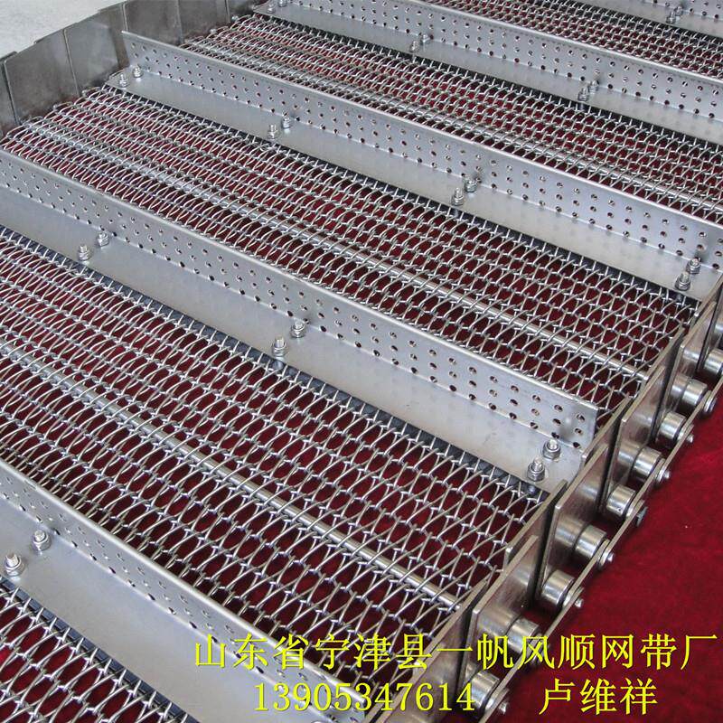 专业生产清洗机网带、网链、输送链、输送带 支持定做