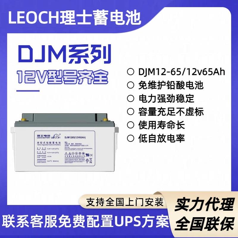 理士铅酸免维护蓄电池DJM1265电瓶车电动车12v65Ah UPS/EPS电源
